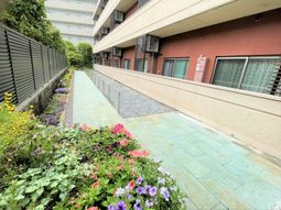 色とりどりの花と廊下