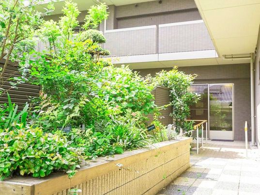 緑豊かな中庭風景