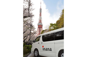 桜並木とタワーの風景