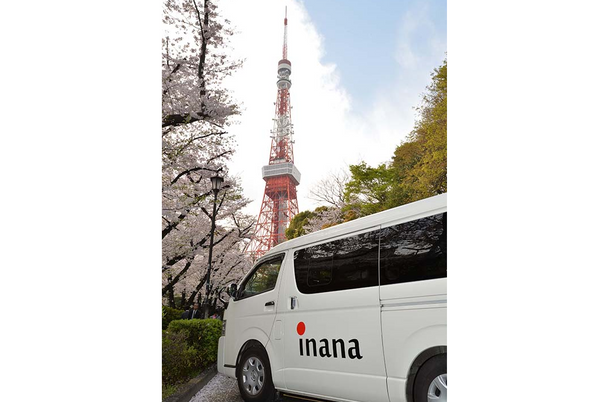 桜並木とタワーの風景