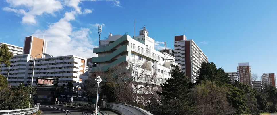 周囲の建物