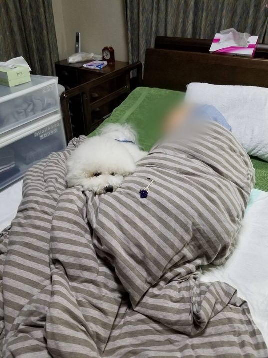 穏やかな時間を過ごす居室