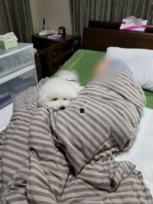 穏やかな時間を過ごす居室