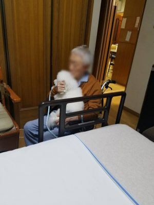 小型犬を抱く居室