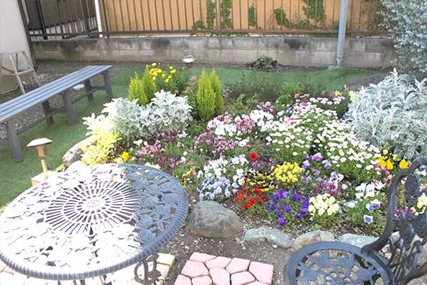 花々が彩る庭