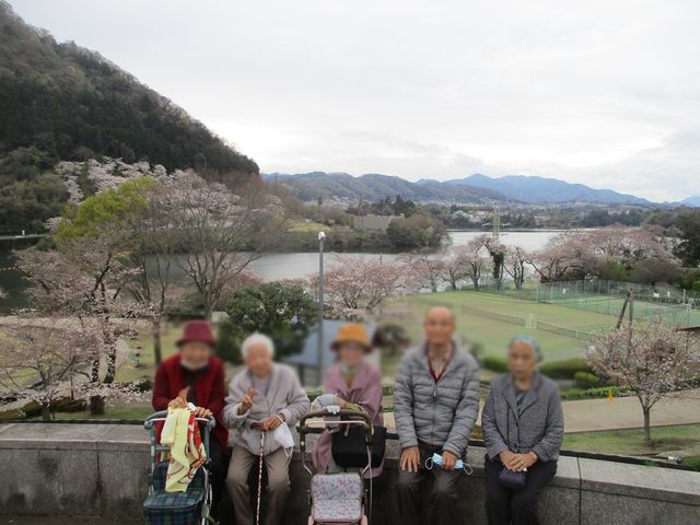 湖畔の風景を楽しむ方々 庭 桜が咲き誇る湖畔で、ゆったりとした雰囲気を味わうことができます。リフレッシュに最適な場所です。