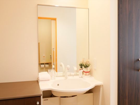 施設の写真 居室にあるスタンダードな形の洗面台である。正面に大きな鏡が取りつけられており、その手前には洗面用具を置くスペースもある。