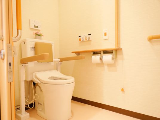 施設の写真 トイレの右側の壁に、ペーパーホルダーが２つ設置されている。その上に緊急呼出ボタンや、洗浄用の操作パネルがある。