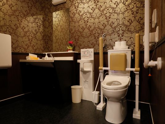 施設の写真 広いスペースが確保されたトイレである。左端には大きな鏡のついた洗面台があり、蛇口の横にハンドソープが置いてある。