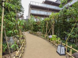 緑豊かな施設の庭