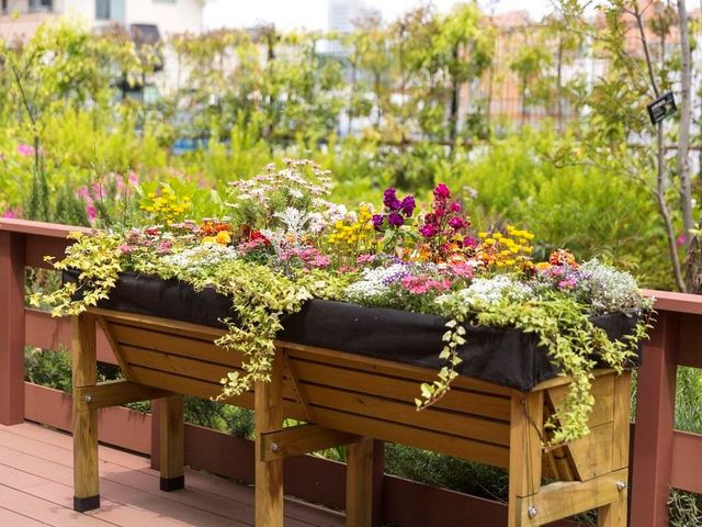 色とりどりの花壇 ウッドデッキテラス 花々が彩る癒しの空間がここにあります。日々の業務の合間に、心安らぐ自然を感じていただけるでしょう。