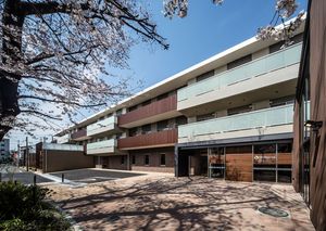 桜が映える建物外観