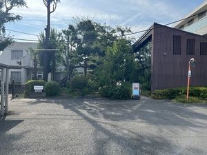 木々に囲まれた建物外観  
