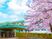 桜と建物の外観  