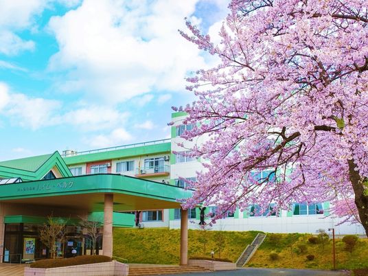 桜と建物の外観  