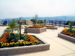 中庭の花壇と景観