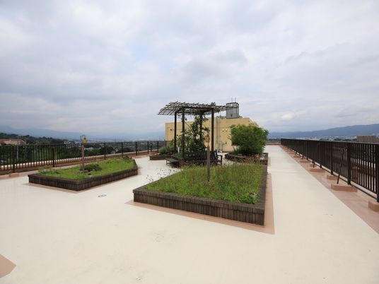 広々とした屋上庭園