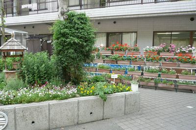 色とりどりの植物が配置された庭