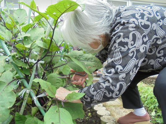 庭で植物のお手入れ中