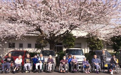 満開の桜の下での集い