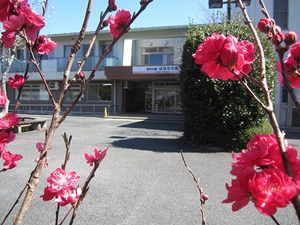 花咲く玄関前  