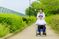 車椅子の笑顔の散歩