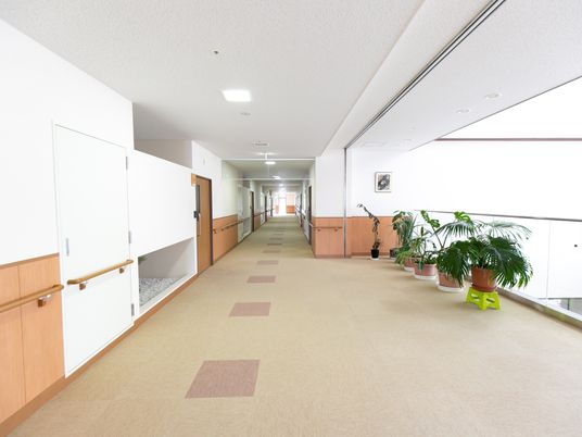 清潔感ある明るい廊下