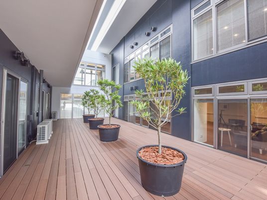 中庭の木々と休憩スペース