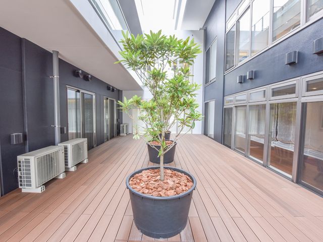 テラスの緑と木目調床