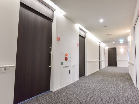 清潔感ある明るい廊下