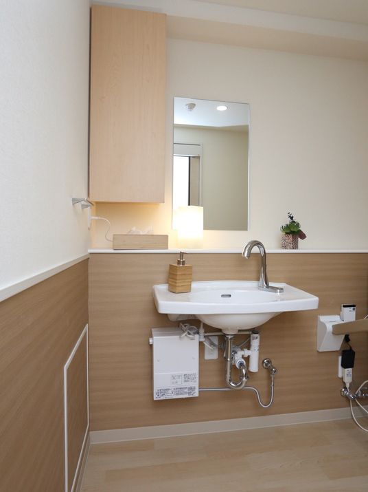 洗面台と鏡のある部屋