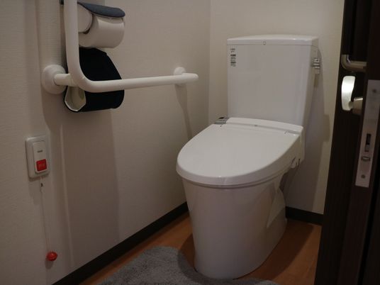 手すり付きの清潔なトイレ