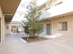 中庭の緑あふれる景観
