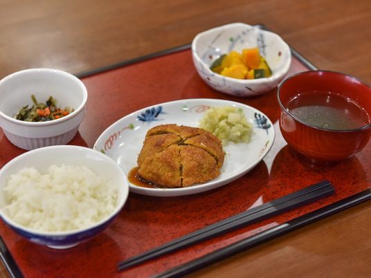 和食のバランスの取れた一食