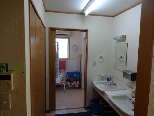 施設の写真 共用の洗面スペースがあり、鏡付きの洗面台が2台設置されている。ドアは引き戸になっている。床面は段差がなく安全である。