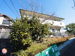 柑橘樹と建物の外観