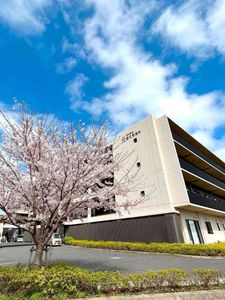 桜が咲く建物の外観