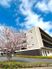 桜が咲く建物の外観