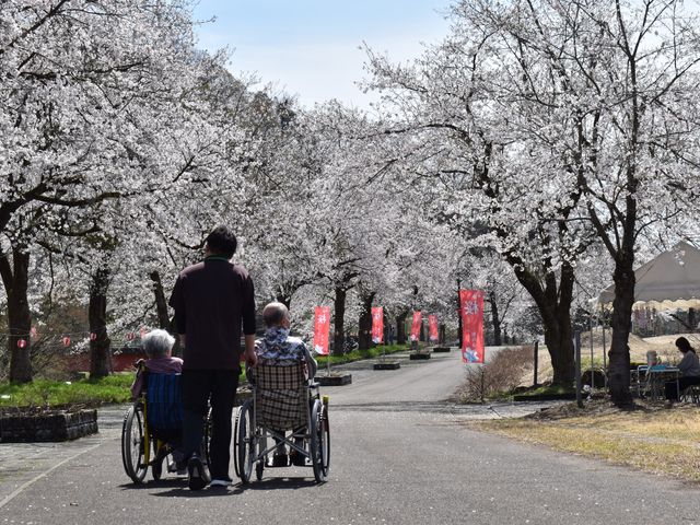 桜並木を散策する中庭 中庭   満開の桜に囲まれた並木道を、車椅子の方と付き添いの方がゆっくり進んでいます。季節を感じながら、安心して散歩を楽しめる雰囲気です。