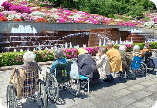 色とりどりの花壇