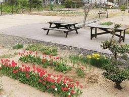 中庭の花とベンチ