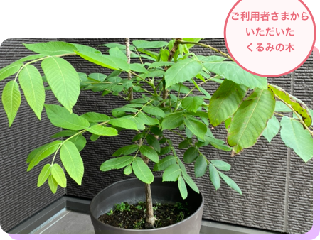くるみ 訪問看護ステーションの外観