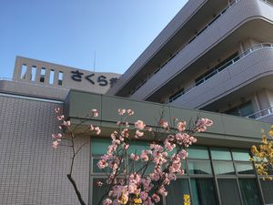 さくら荘の外観  