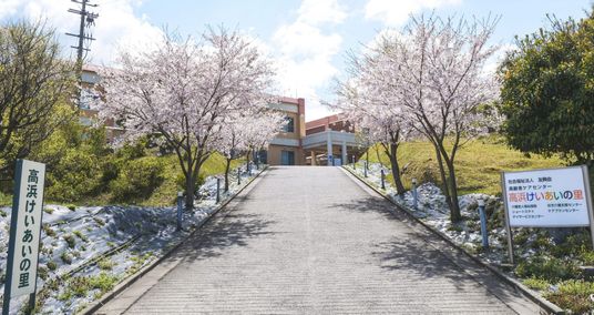桜並木の入口　