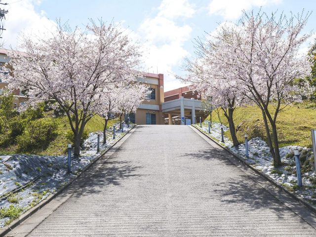 桜並木の入口　 外観 桜に彩られた入り口は、訪れる人々に春の訪れを感じさせます。美しい景観が魅力です。