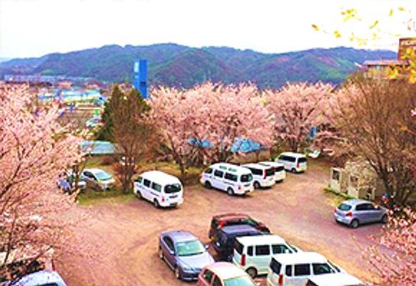 桜の咲く駐車場