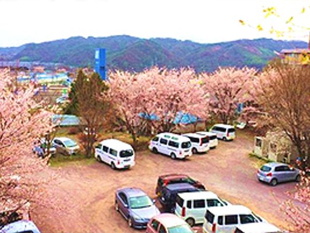 桜の咲く駐車場 外観 桜が美しく咲き誇る駐車場は、自然豊かな環境で働く魅力的な職場です。