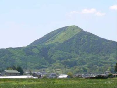 緑豊かな山と街並み