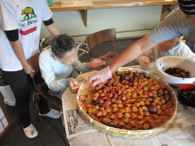 共同作業中の室内