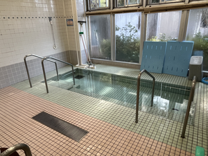 手すり付きの浴室  